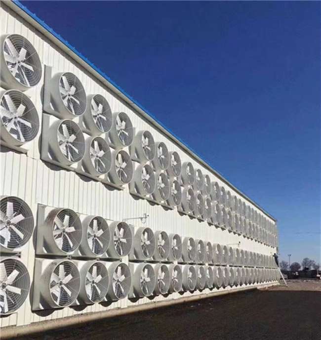 負壓風機在廠房車間應用中是如何降溫的?車間降溫方案有哪些?看看這七種車間降溫通風方案那種適合